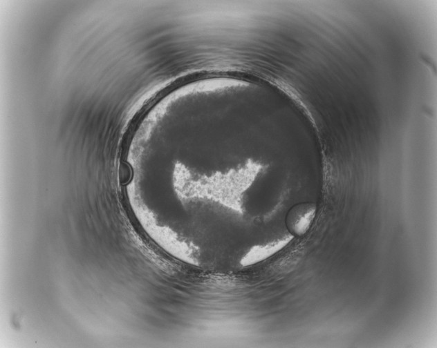 X0000101460935200808041038