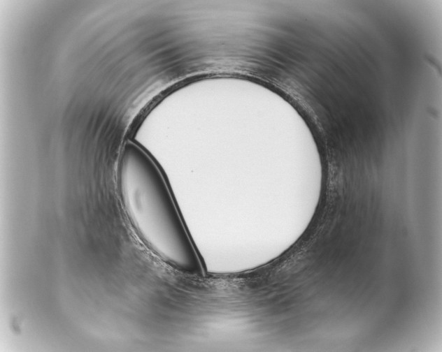 X0000101460936200808041038