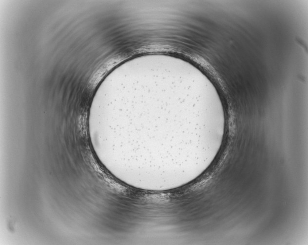 X0000101460937200808041038