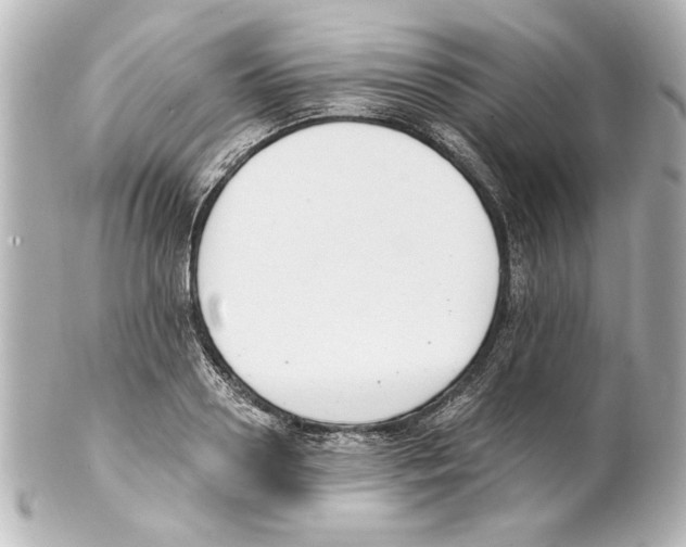 X0000101460938200808041038