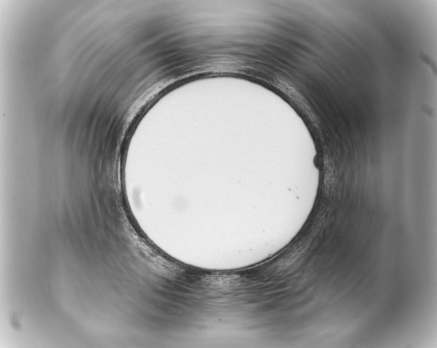 X0000101460939200808041038