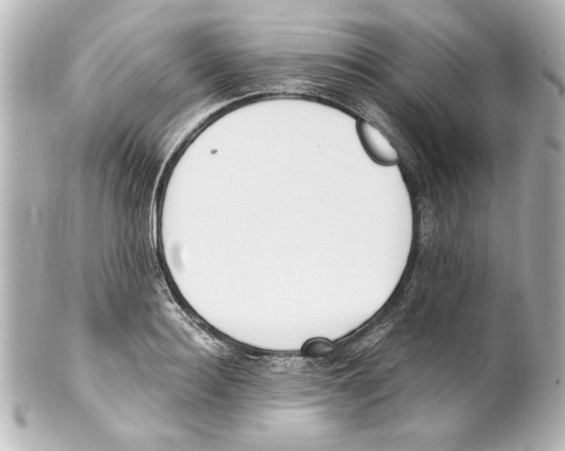 X0000101460940200808041038