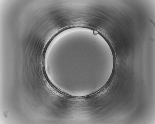 X0000101460941200808041038
