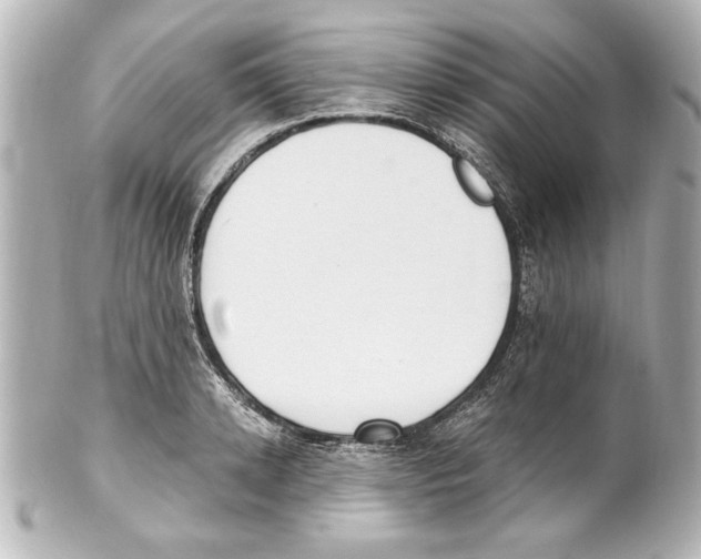 X0000101460942200808041038