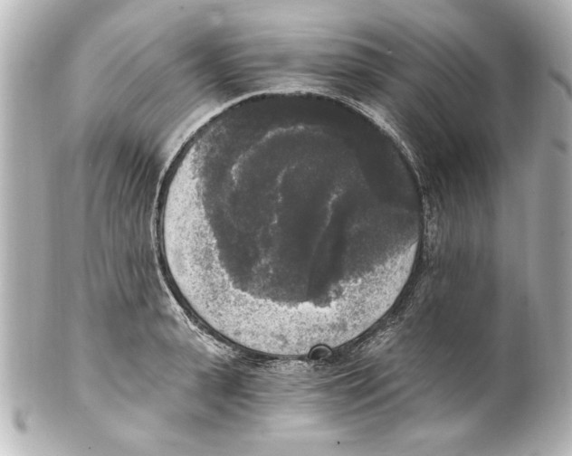 X0000101460943200808041038