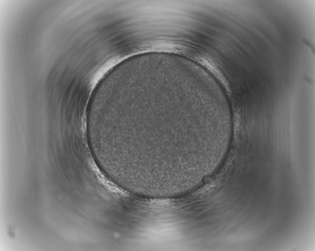 X0000101460944200808041038