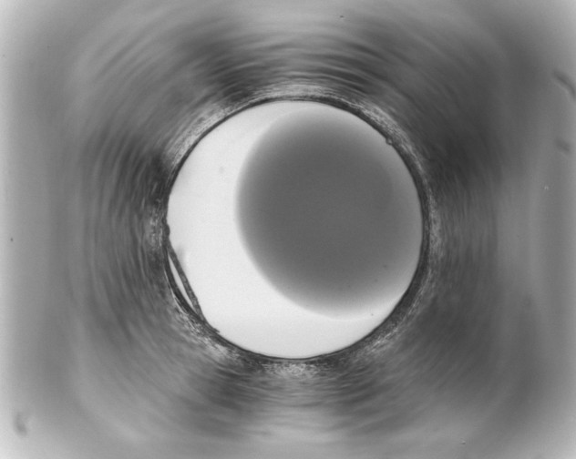 X0000101460945200808041038