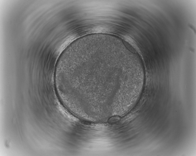 X0000101460946200808041039