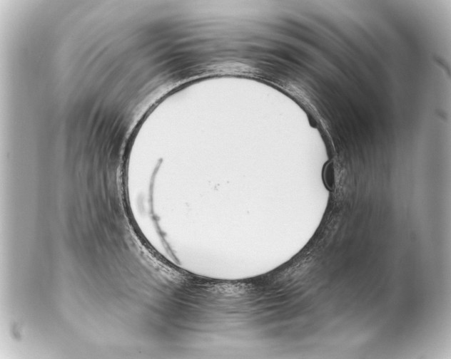 X0000101460947200808041039