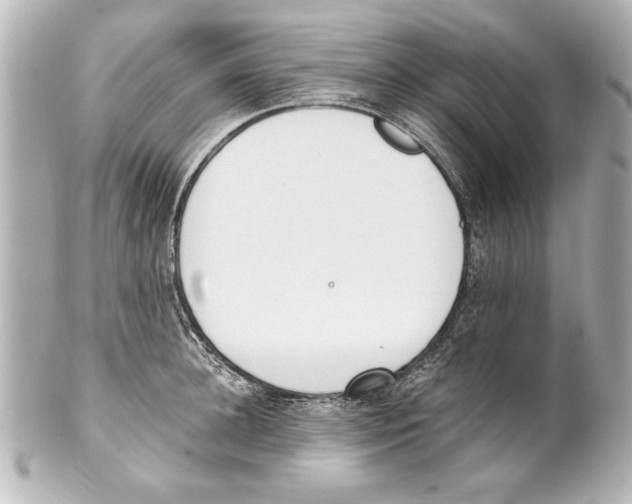 X0000101460948200808041039