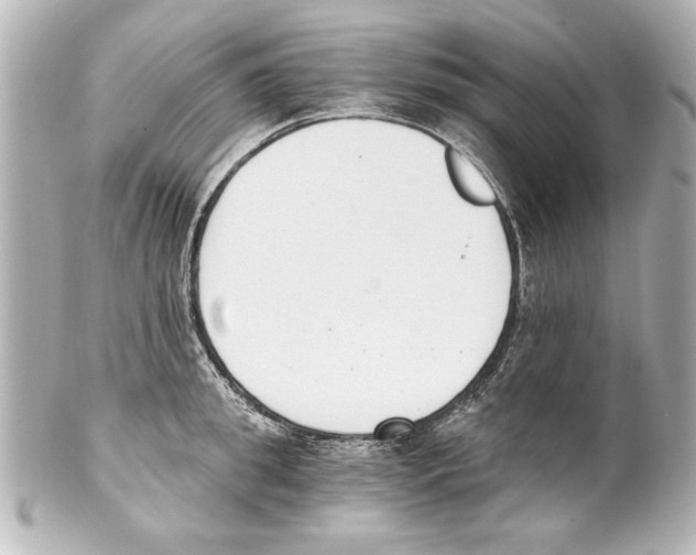X0000101460949200808041039
