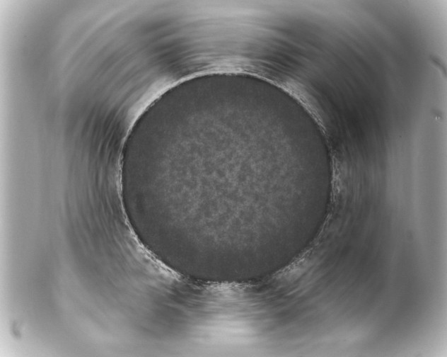 X0000101460950200808041039