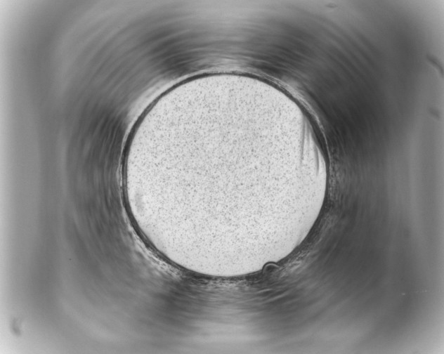 X0000101460951200808041039