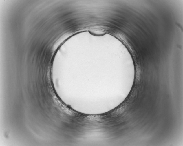 X0000101460952200808041039