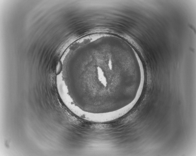 X0000101460953200808041039