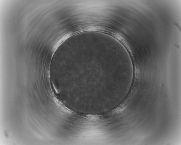 X0000101460954200808041039