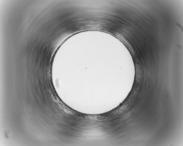 X0000101460956200808041039