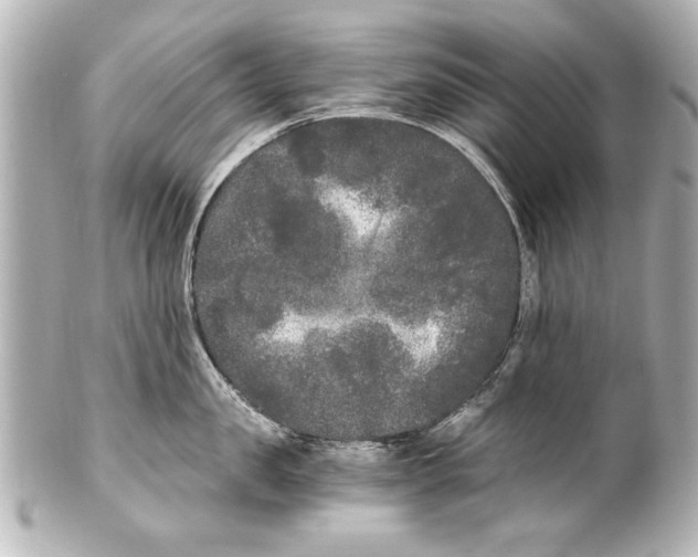 X0000101460957200808041039
