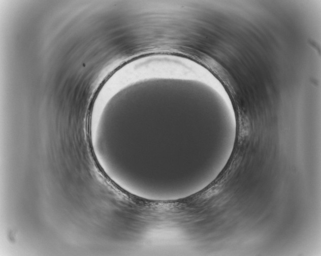 X0000101460958200808041039