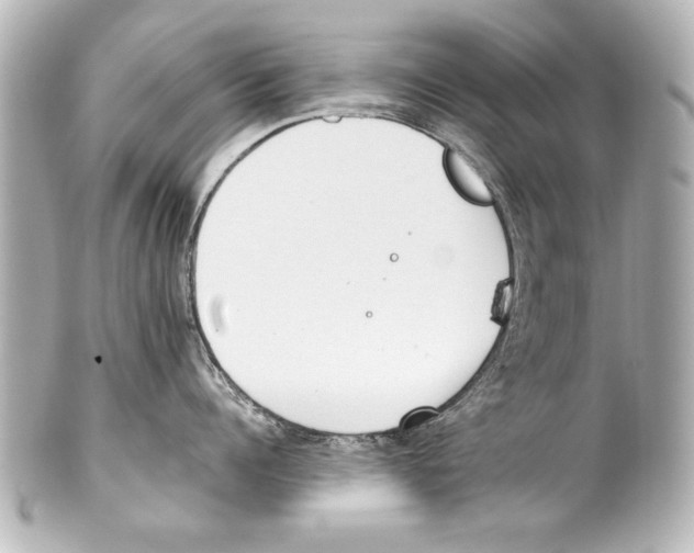 X0000101460960200808041039