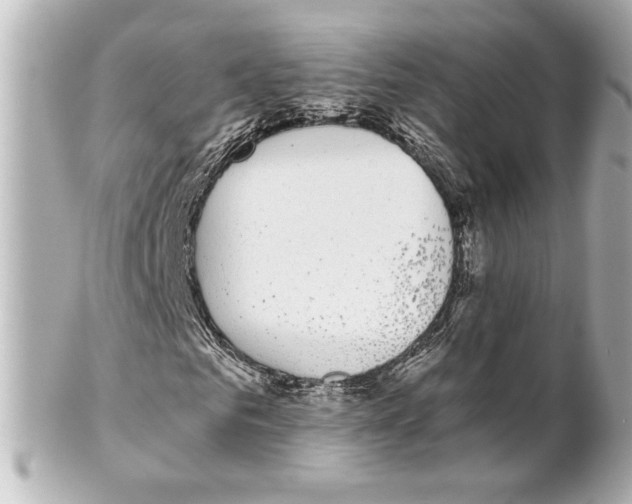 X0000101460961200808041038