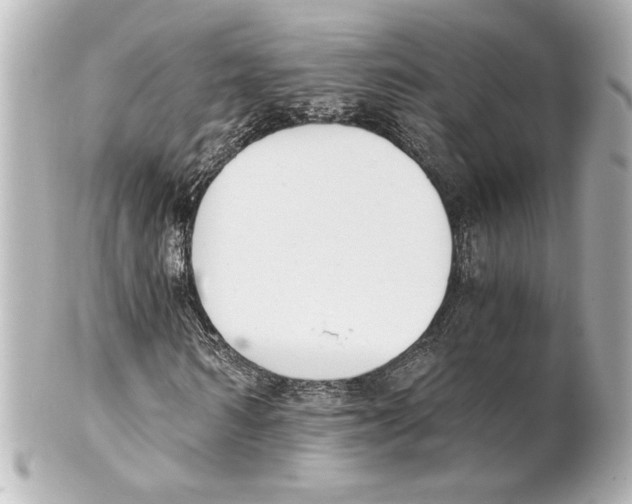 X0000101460962200808041038