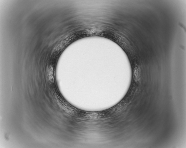 X0000101460963200808041038