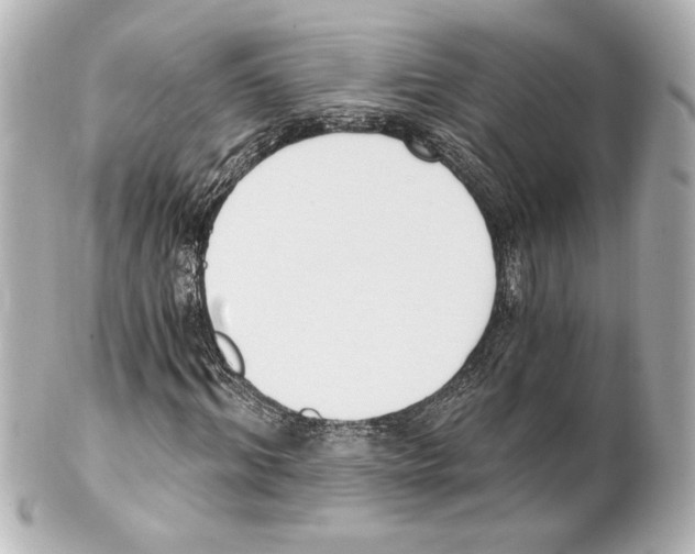 X0000101460964200808041038