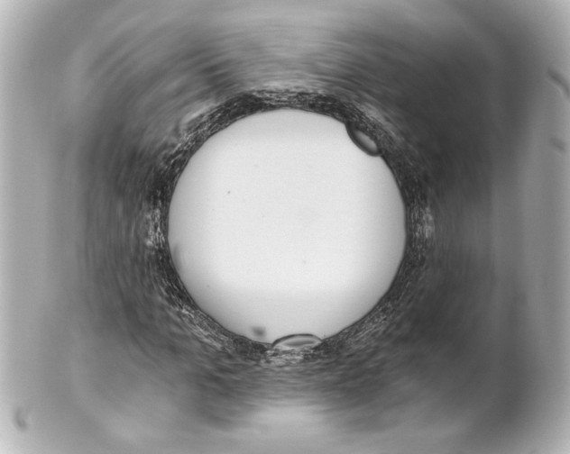 X0000101460965200808041038