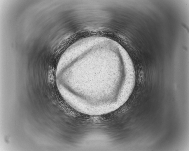 X0000101460966200808041038