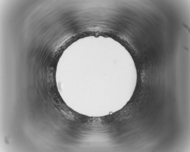 X0000101460968200808041038
