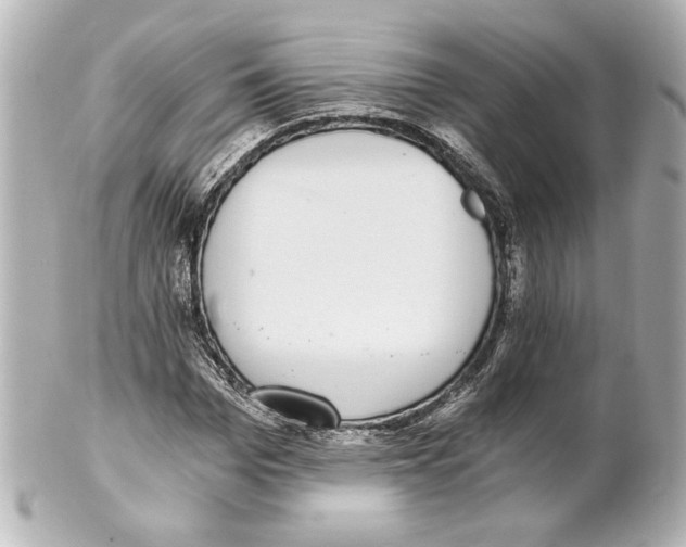 X0000101460969200808041038