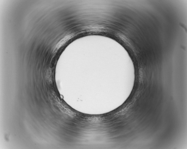 X0000101460970200808041038