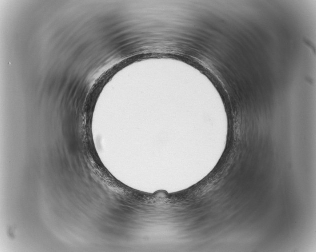 X0000101460971200808041038