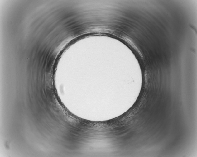 X0000101460972200808041038