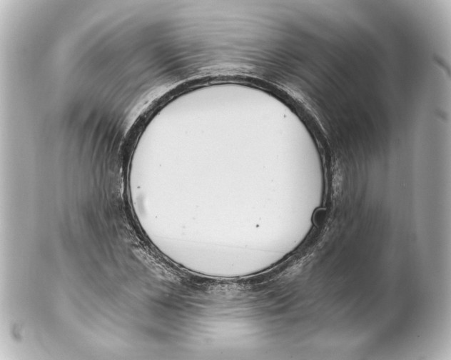 X0000101460973200808041038