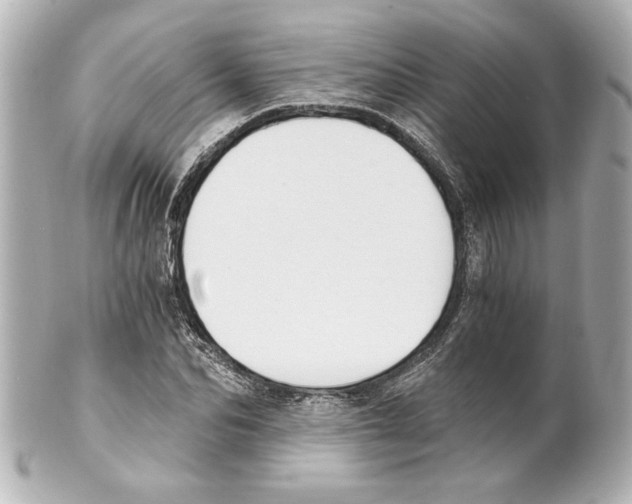 X0000101460974200808041038