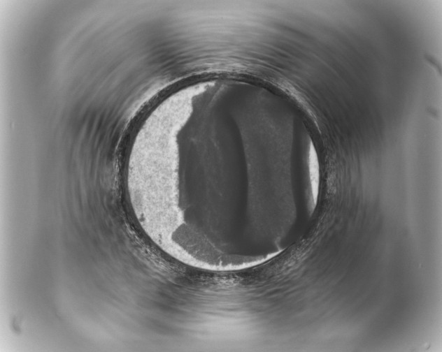 X0000101460975200808041038