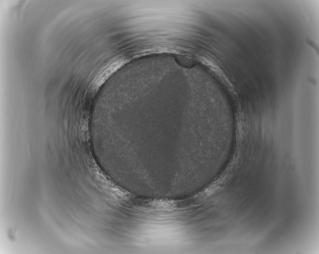 X0000101460977200808041038