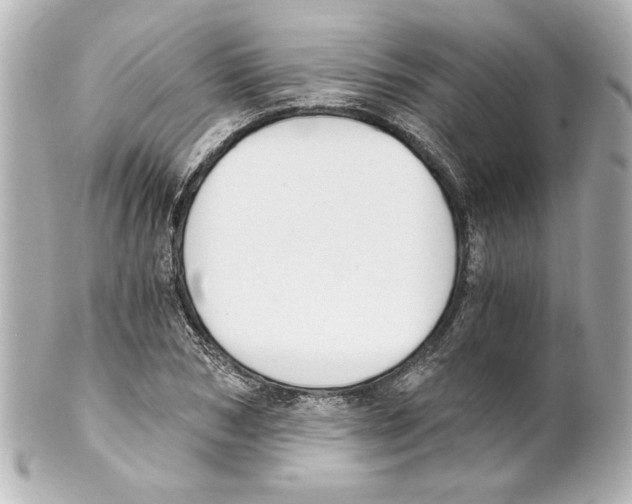 X0000101460978200808041038