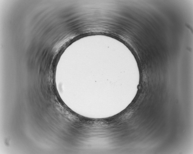 X0000101460979200808041038