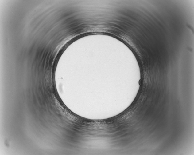X0000101460980200808041038