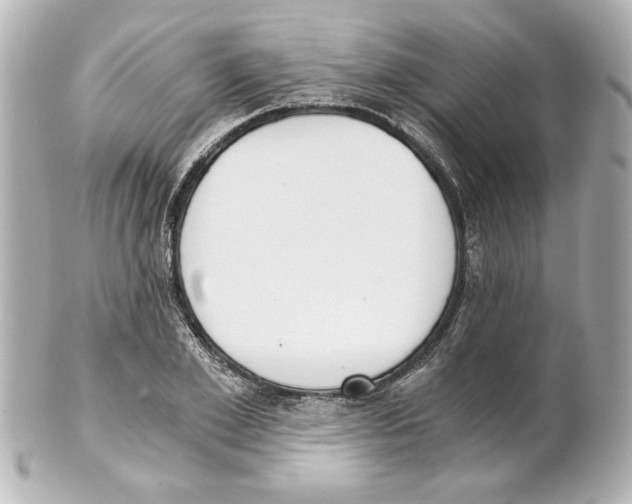 X0000101460981200808041038