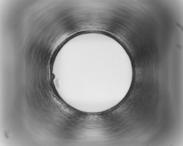 X0000101460982200808041038