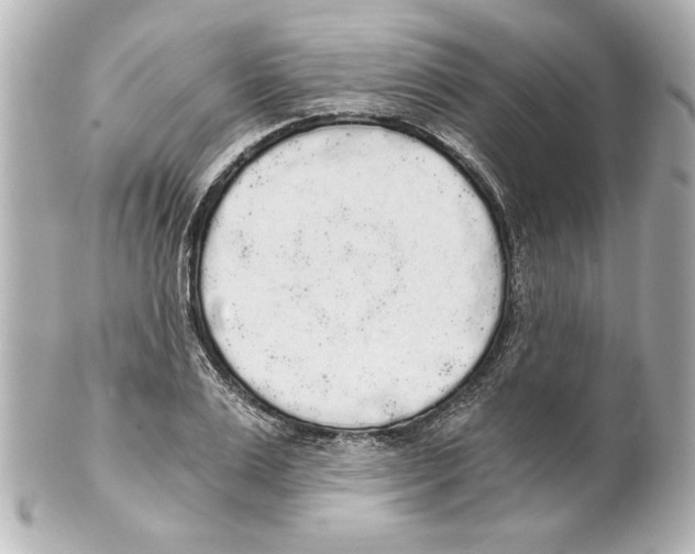 X0000101460983200808041038