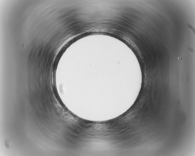 X0000101460984200808041038