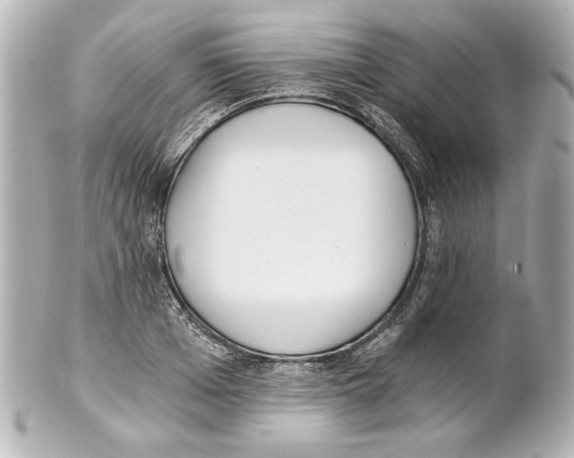 X0000101460985200808041038