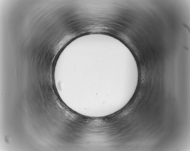X0000101460986200808041038