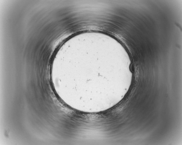X0000101460987200808041038