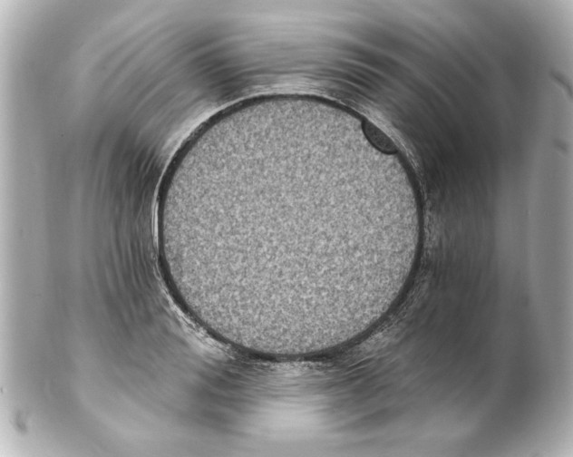 X0000101460988200808041038